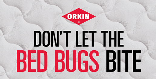 orkin-bed-bugs