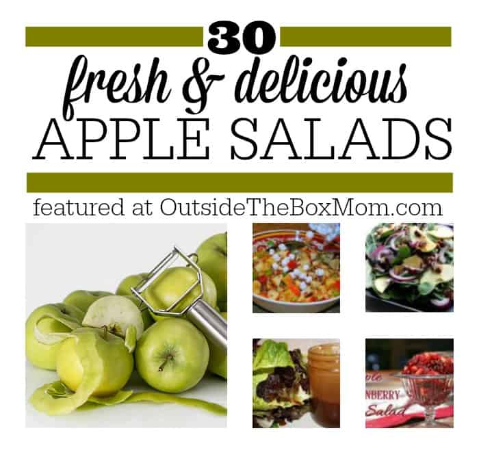 Are you looking for a collection of great apple salad recipes? Look no further! Here’s a list of 30 of the best from some of my favorite bloggers.