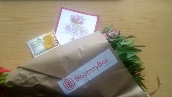 bloomsybox-out-of-package