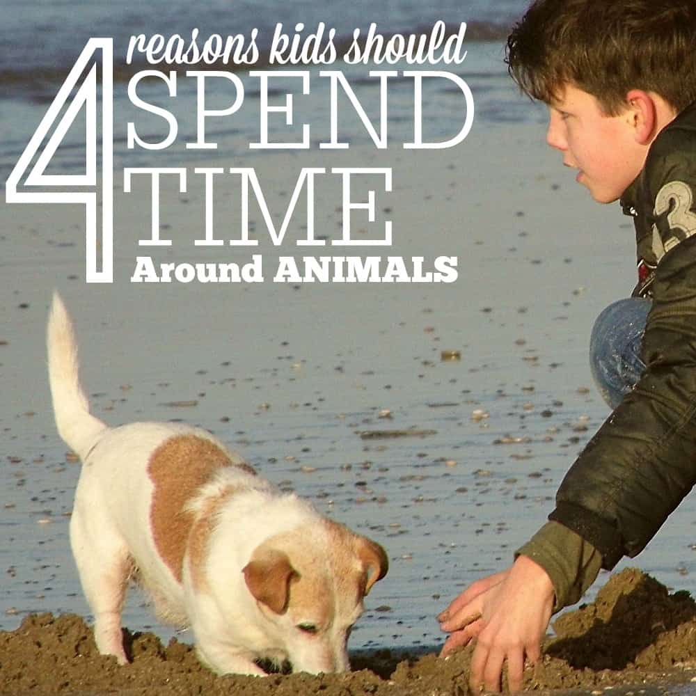 reasons-kids-should-spend-time-with-animals-sq
