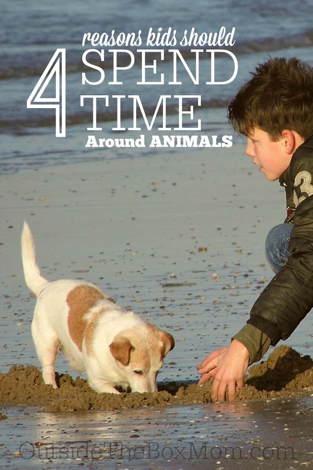 Children are drawn to animals from a young age. Introducing animals into your child’s life is a great way to teach them things, encourage activities, peak their interests, and improve their physical and emotional health.