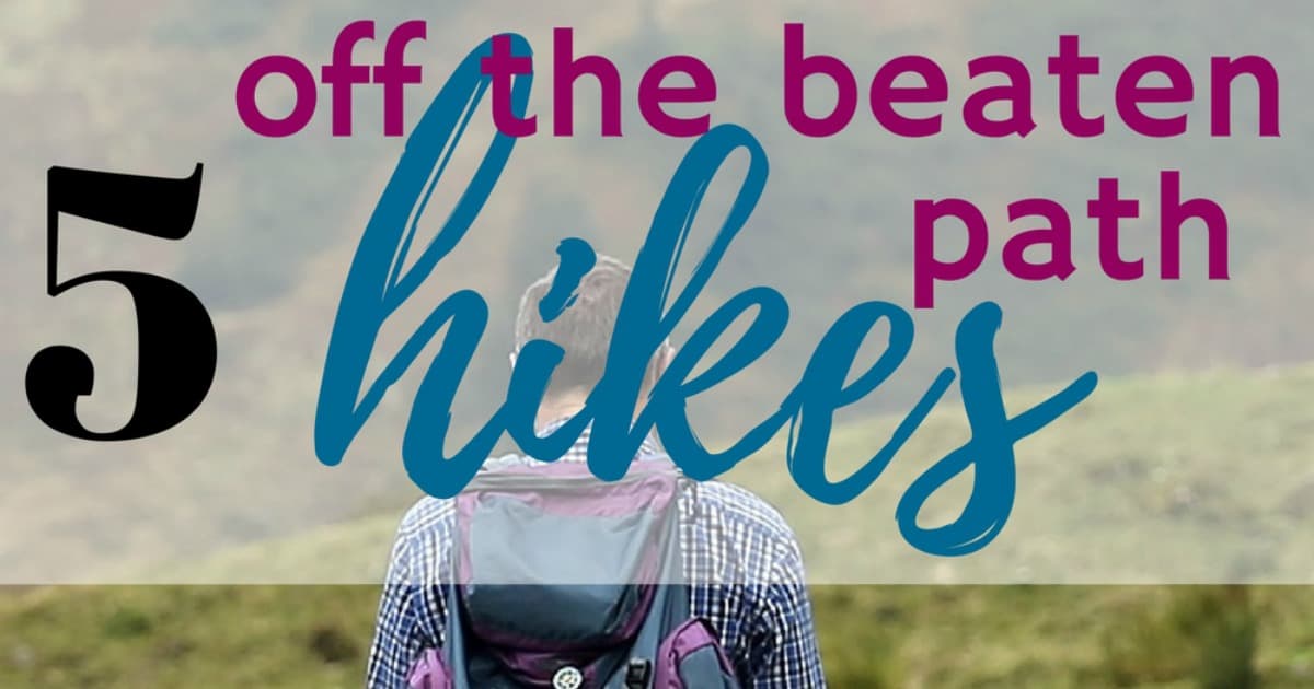 Are you looking for some less ventured paths to hike this summer or fall? Learn why outdoor enthusiasts and nature amateurs alike should embrace the opportunity to explore, learn, be inspired, or simply have fun on a great hike.