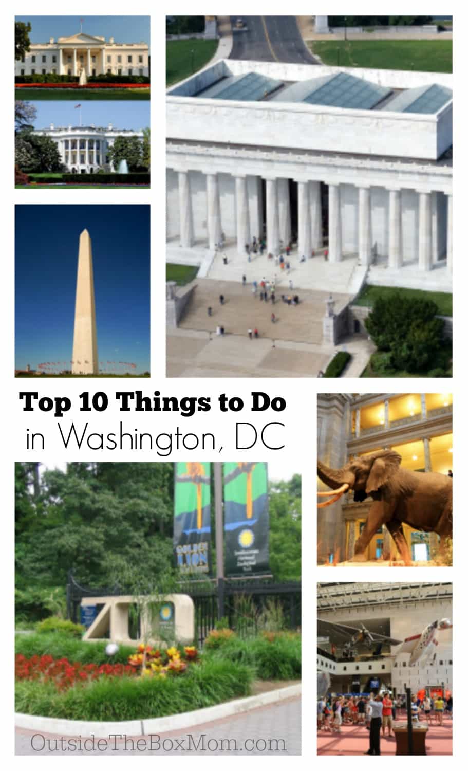 Are you looking for fun things to do in Washington, DC? I've found the perfect list of the top 10 things to do while in whether you are traveling alone, as a couple, or with your family. 