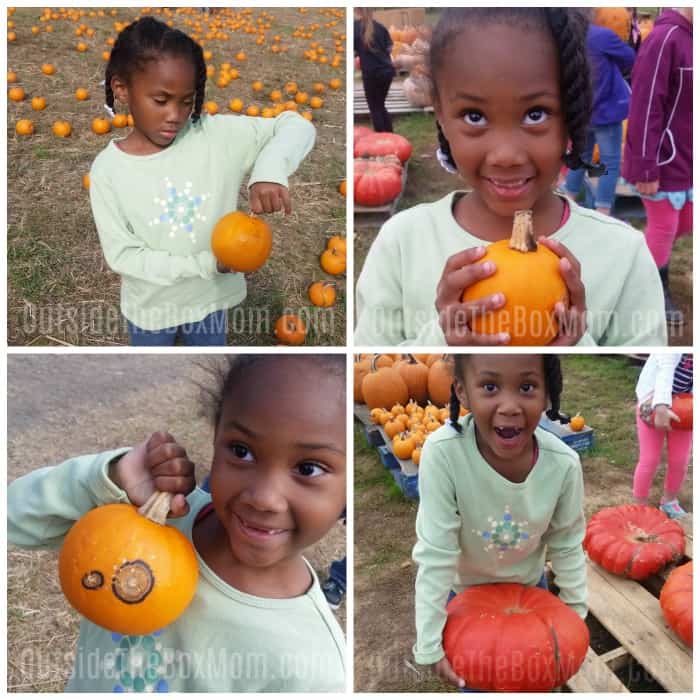how to pick a pumpkin | picking a pumpkin at the pumpkin patch