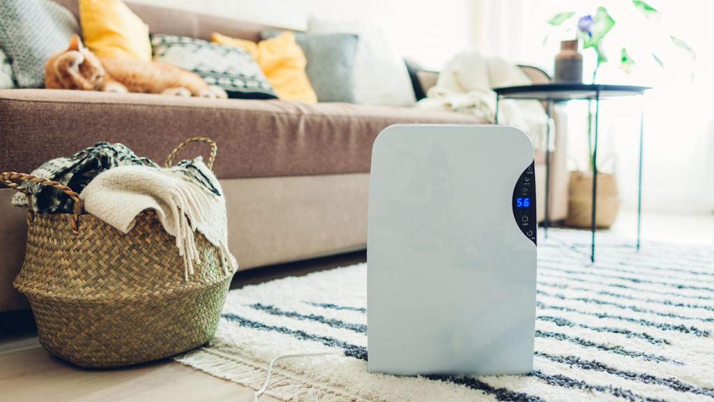 5 Best Dehumidifiers For A Basement, What Is The Best Relative Humidity For A Basement