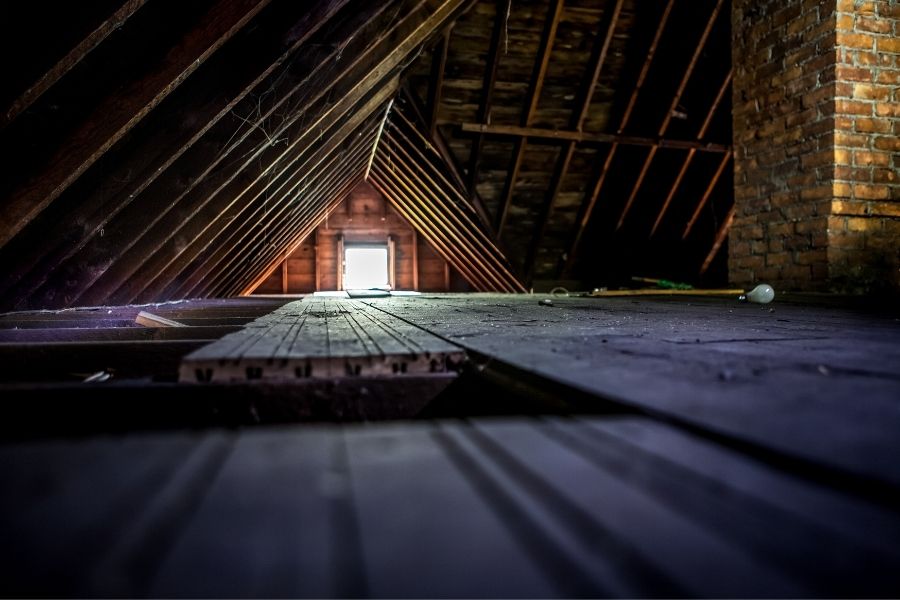 Expert Tips for Keeping Pests Out of the Attic
