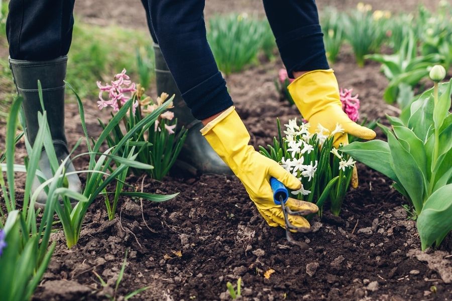 Tips for Preparing Your Soil for a Spring Garden
