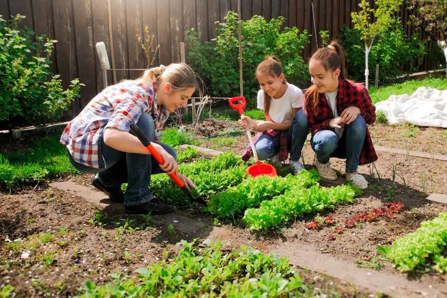 Tips for Maintaining Your Garden and Landscaping