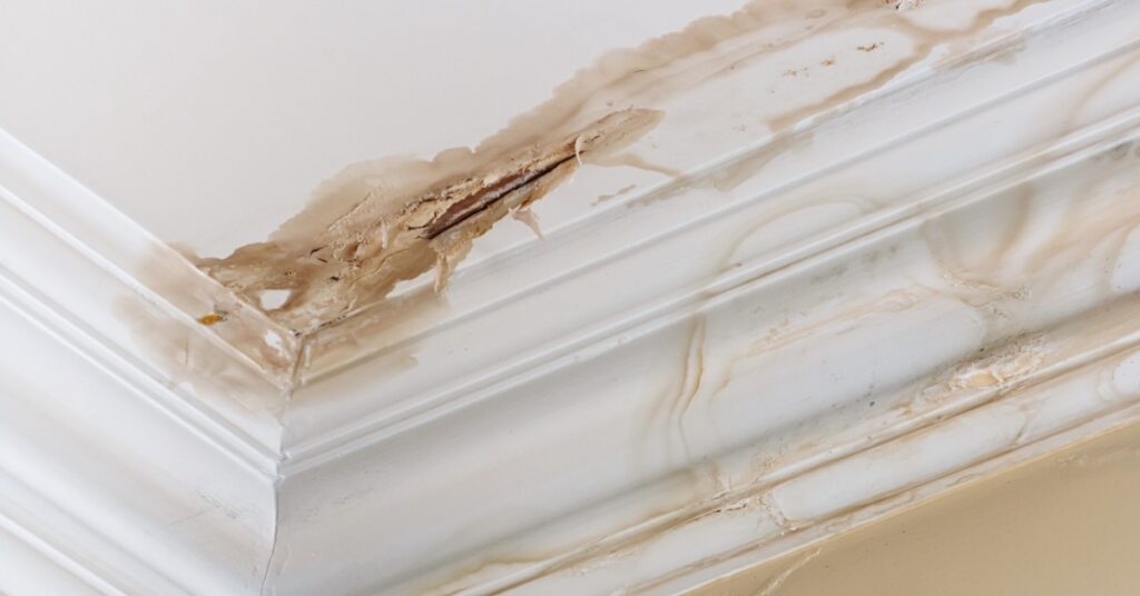 Severe brown water stains and peeling ceiling plaster spread along white crown molding in the corner of a room.