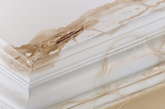 Severe brown water stains and peeling ceiling plaster spread along white crown molding in the corner of a room.