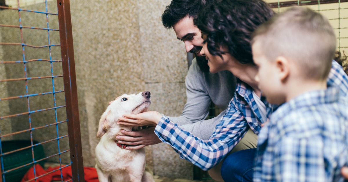 A family meets a friendly dog at an animal shelter while deciding whether it is the right pet to adopt.
