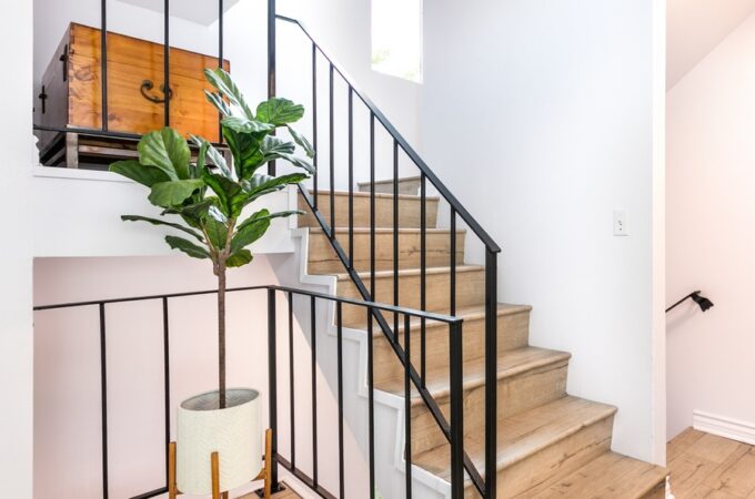 A modern staircase with light wood steps, black railings, white walls, a tall potted plant, and a wooden chest.